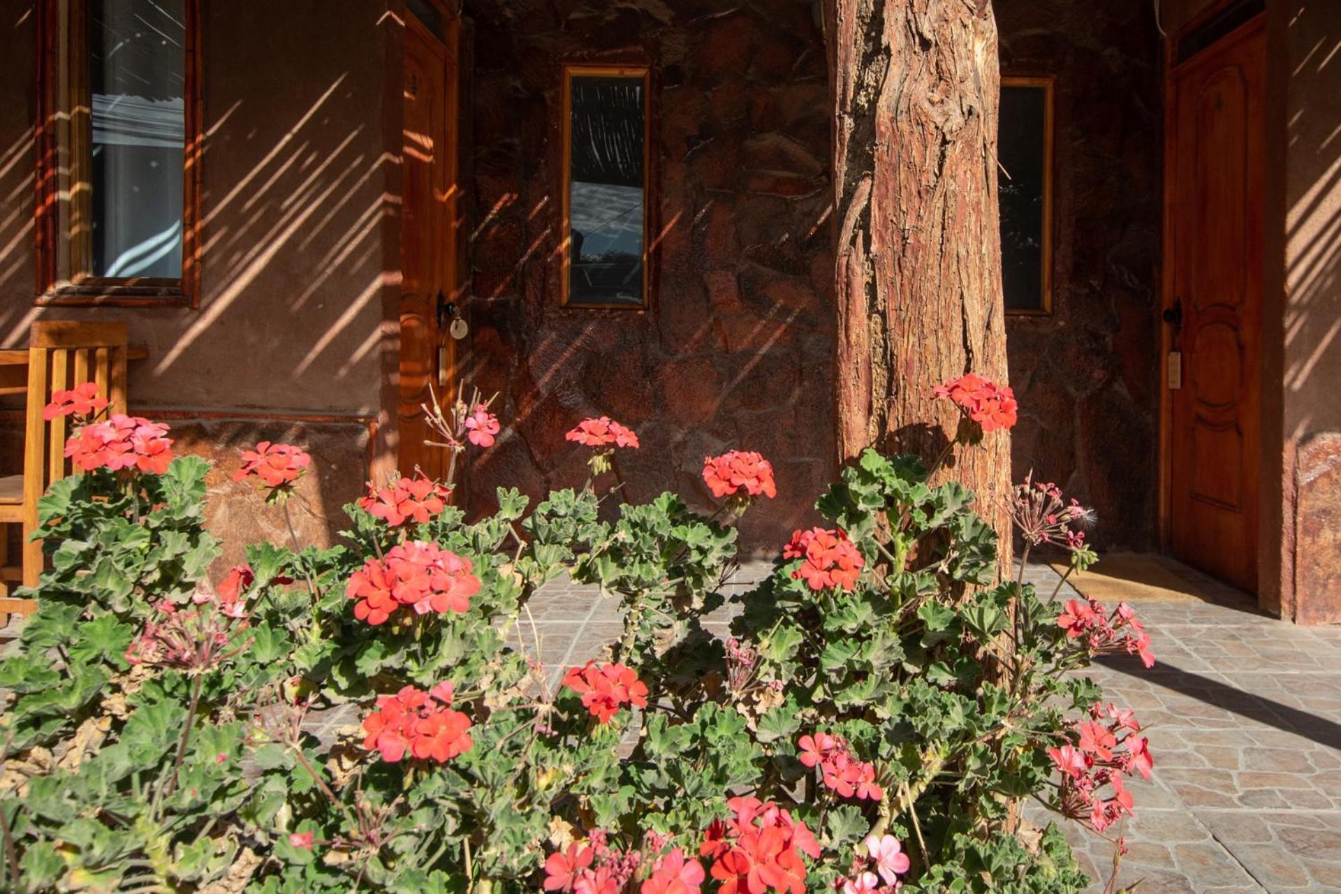 Casa Lickana B&B San Pedro de Atacama Exterior foto